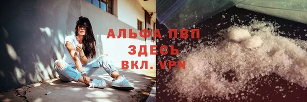 стаф Дмитриев