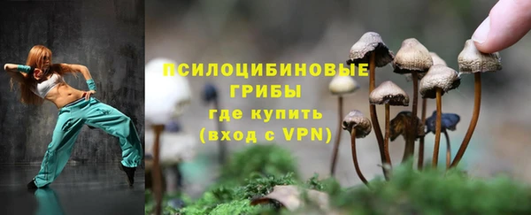 амф Елабуга