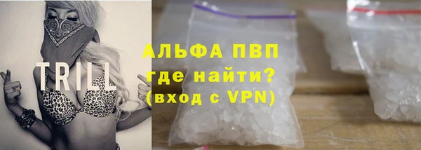 стаф Дмитриев