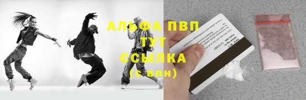 стаф Дмитриев