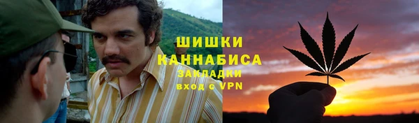 стаф Дмитриев