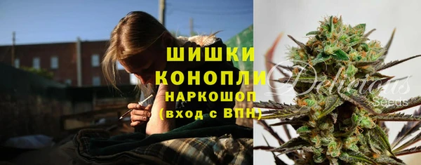 apvp Рославль