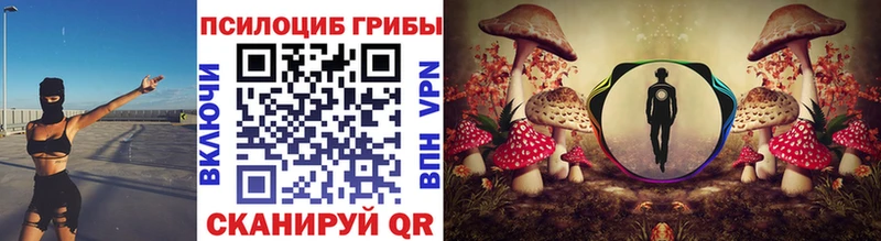 Галлюциногенные грибы прущие грибы  Купить закладки  Канск 